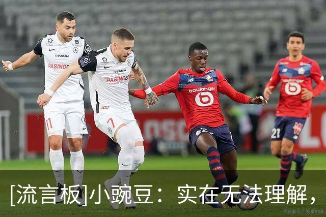 [流言板]小豌豆：实在无法理解，卡里克踢出实打实成绩为何还遭非议
